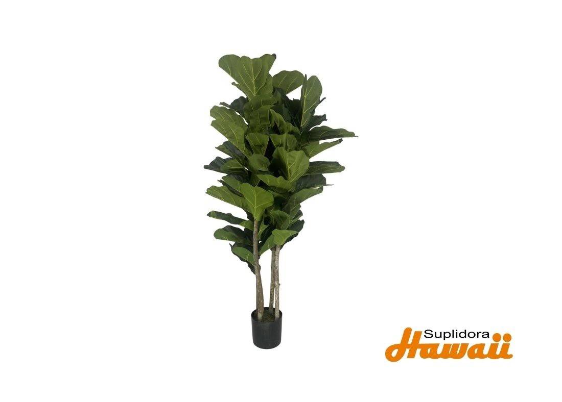 PLANTA ART CPOTE 592-312153 48X48X150CM