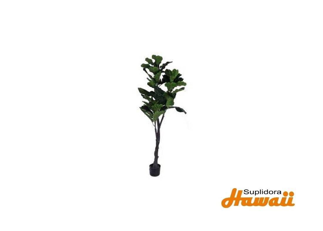PLANTA CPOTE 592-460015 160X80X160CM